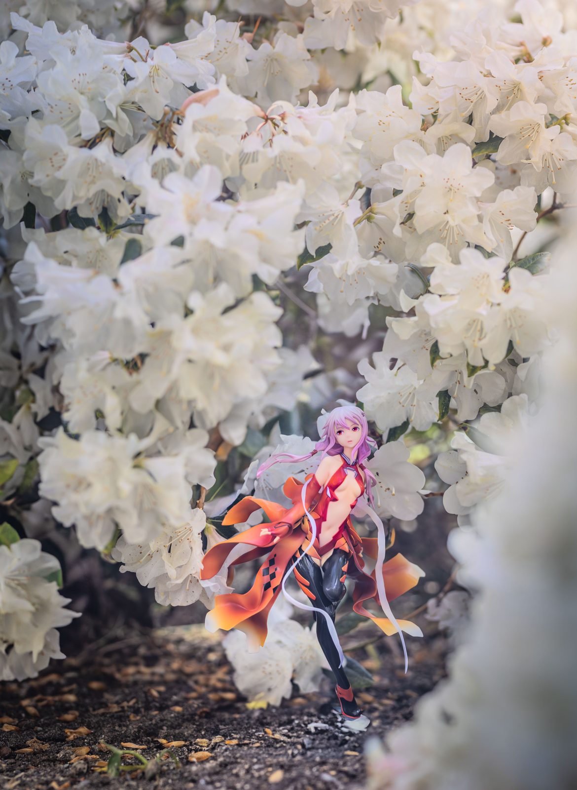 Figure among rhododendrons