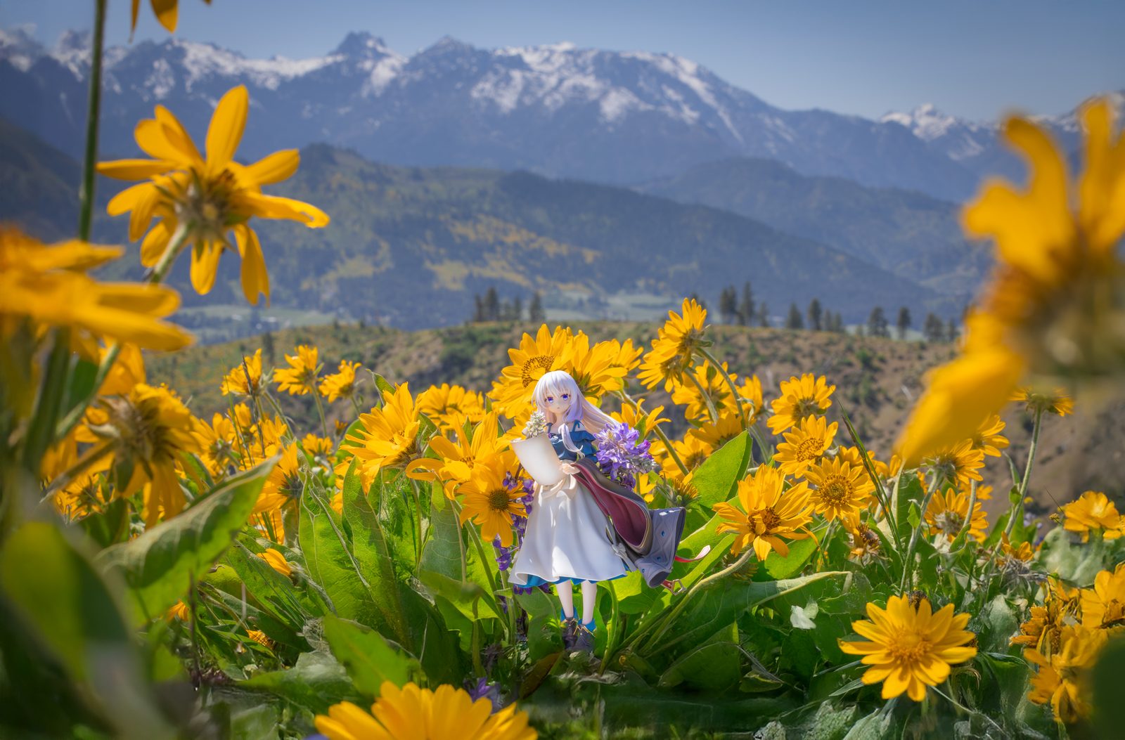 Figure among balsamroot